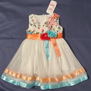 NWT beautiful dress for 12m babygirl